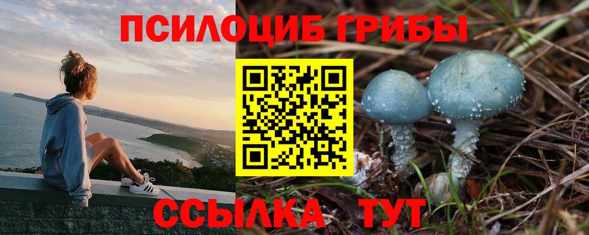 купить наркотик  Псилоцибиновые грибы Psilocybe  Галлюциногенные грибы Cubensis  Вход с VPN  Ярцево 